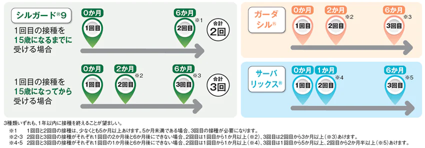 ワクチン接種回数および間隔